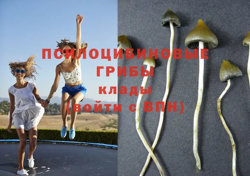 Псилоцибиновые грибы MAGIC MUSHROOMS  Джанкой 